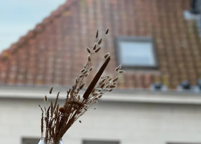 Luxury 2 Bedroom In The Heart Of *